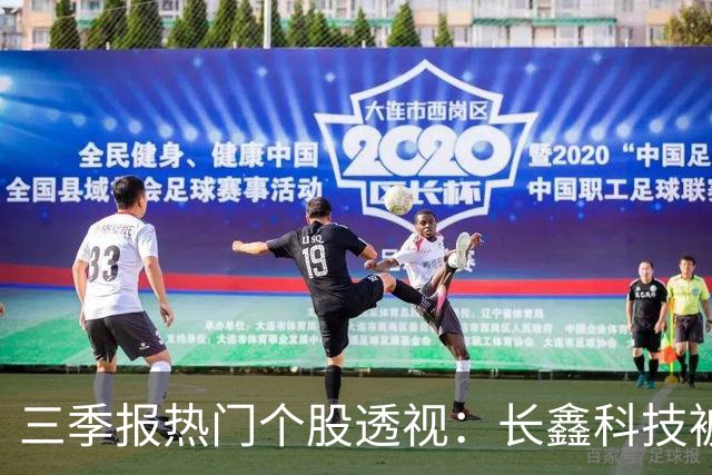 三季报热门个股透视：长鑫科技被多只基金顶格买入，中际旭创、东山精密调仓现分歧